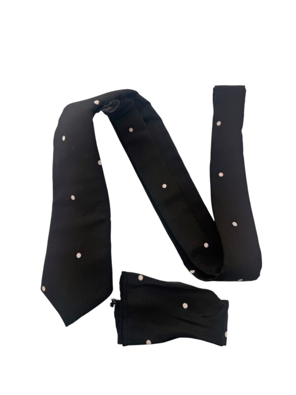 Photoroom_20260128_64719 PM TSH Black Polka Dot Tie Set