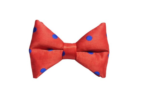 Red Polka Dot Bow Tie with Blue Dots for Men