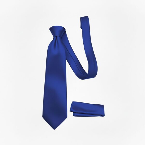 1775353022293-szu2q82vx1.jpg Royal Blue Solid Tie & Pocket Square Set for Men