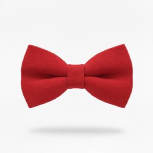 Vibrant Red Textured Bow Tie for Men & Boys