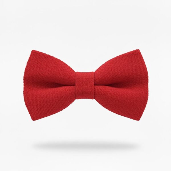 1775445549989-5ejbm96mtrb.jpg Vibrant Red Textured Bow Tie for Men & Boys